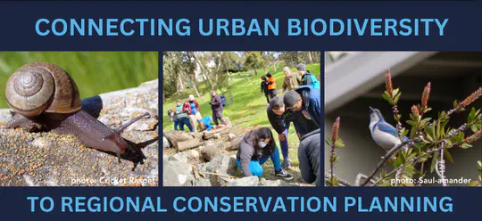 Connecting Urban Biodiversity