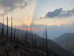 Low-Elevation Conifers in California's Sierra Nevada Are out of Equilibrium with Climate